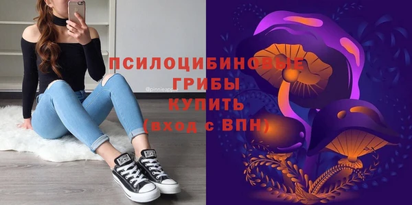 не бодяженный Верхний Тагил